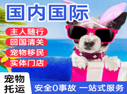 凤凰航空快运国际宠物托运 【国